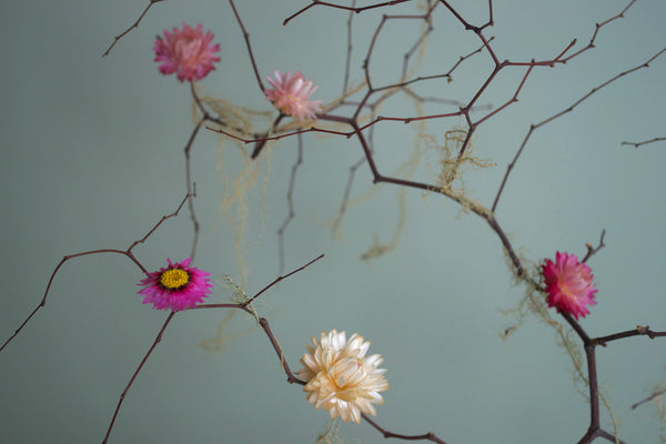 Lily Pond | Modern Dried Floral Arrangement