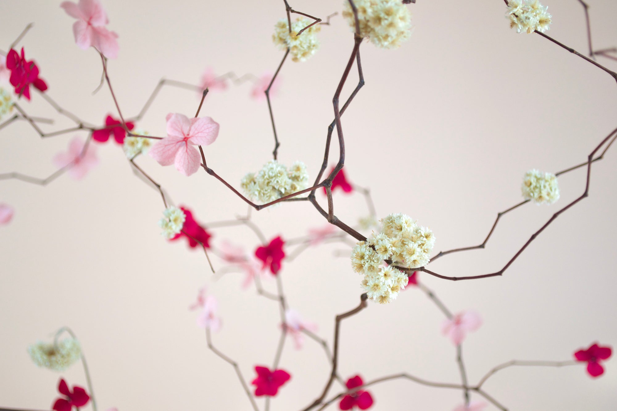 Hey Blossom | Floral Arrangement
