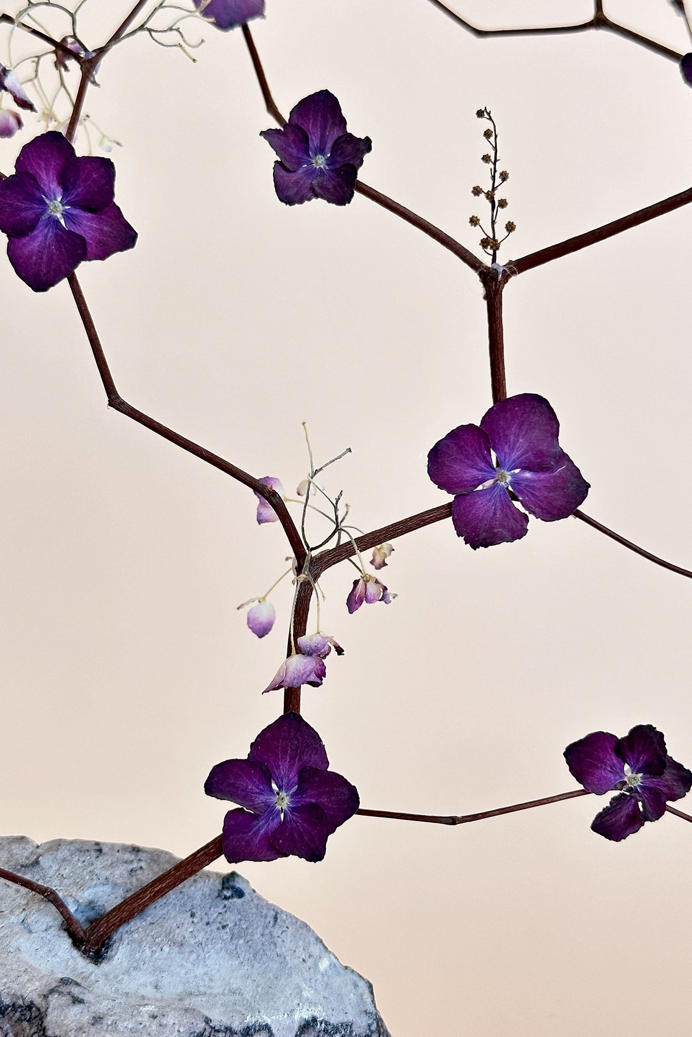 Fleur Mauve | Floral Arrangement