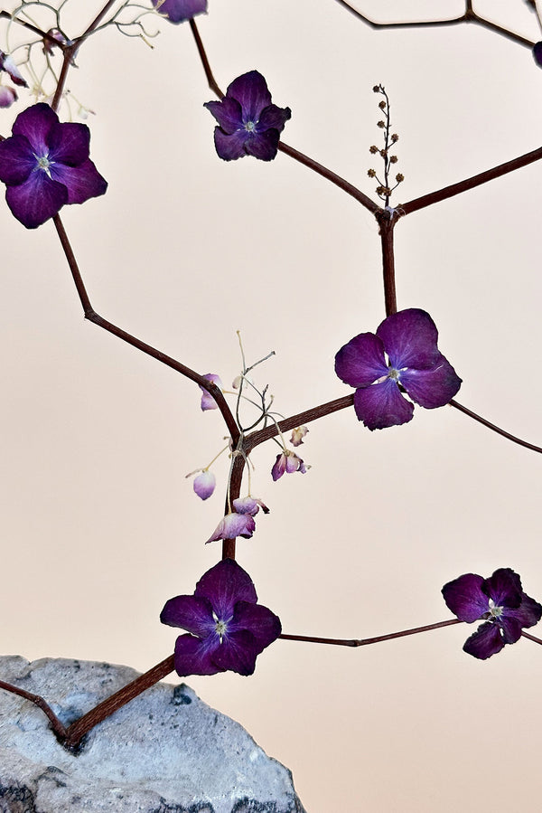 Fleur Mauve | Floral Arrangement
