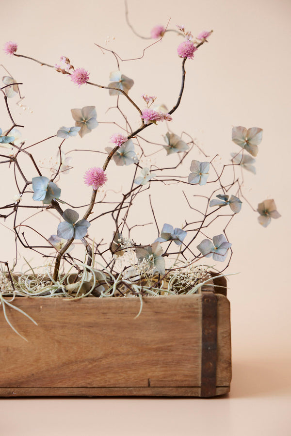 Windswept |  Dried Floral Arrangement
