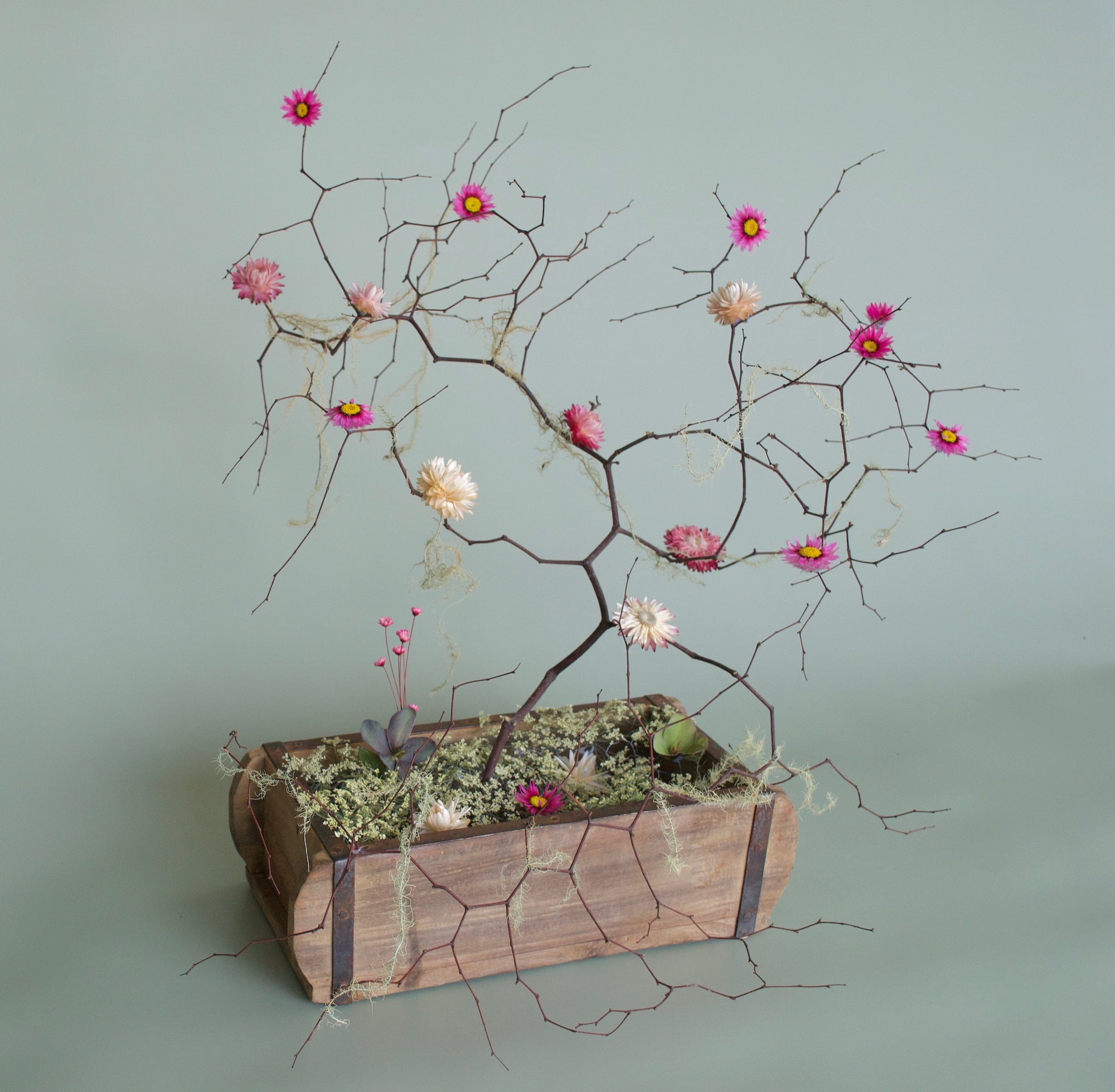 Lily Pond | Modern Dried Floral Arrangement